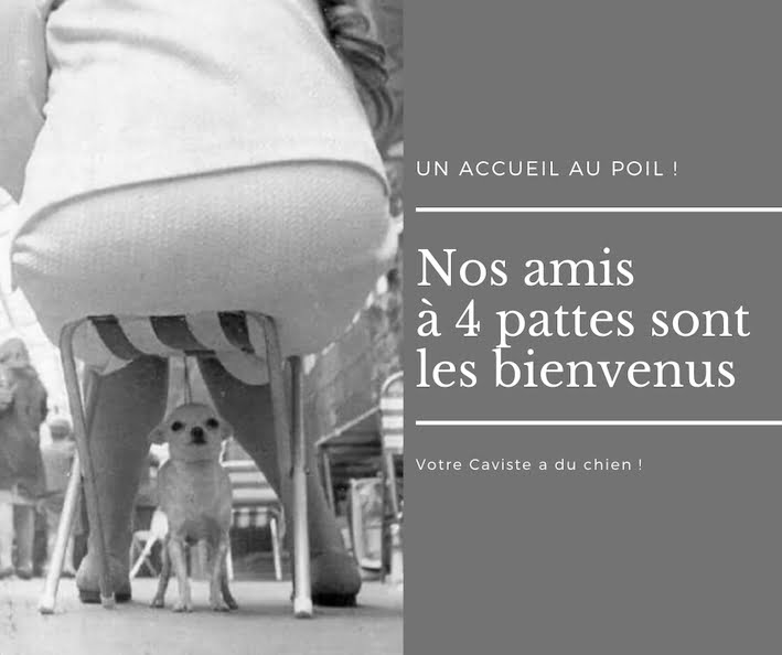 Chien-93ffbaf6