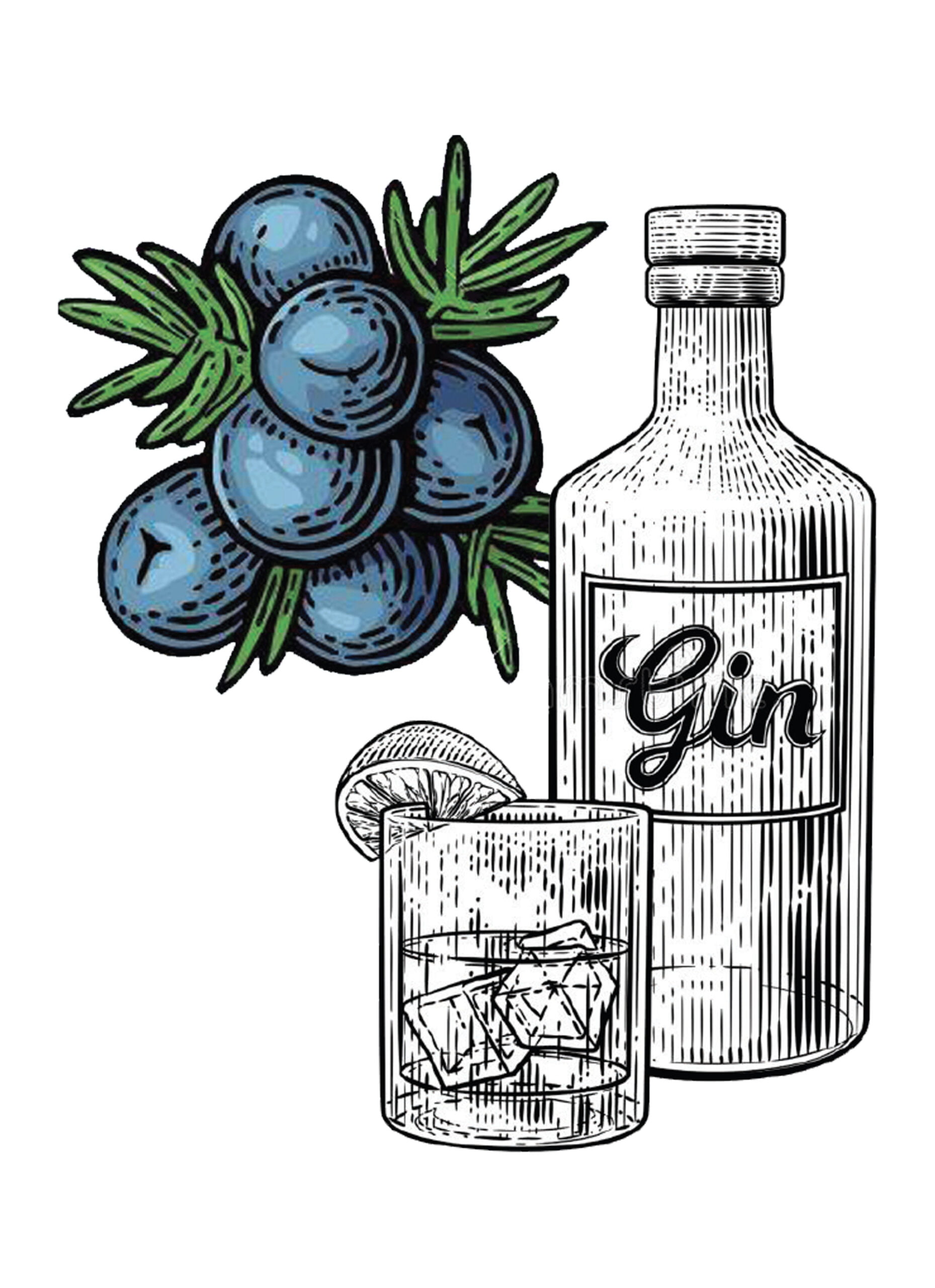 fabrication gin