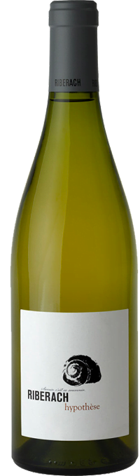vin blanc hypothese RIBERACH - Belesta