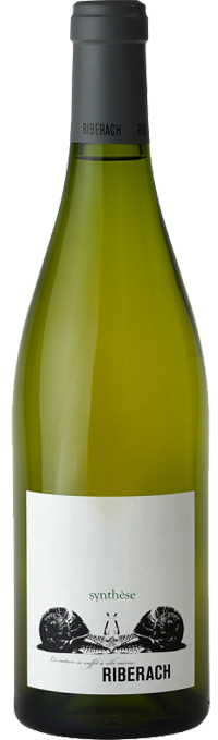 vin blanc synthese RIBERACH - Belesta