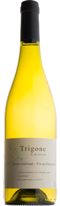 vin blanc trigone LE SOULA - Prugnanes