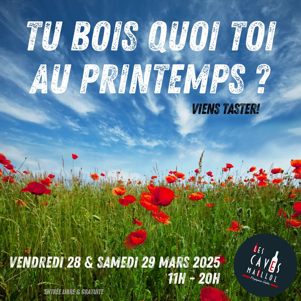 degustation vin perpignan